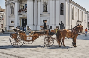 Reise der verzauberten Pferdekutsche