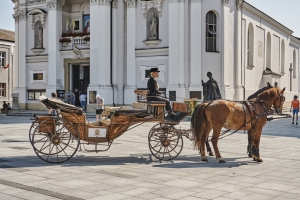 Viaje del carro de caballos encantado - zdjęcie2