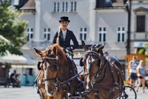 Viaje del carro de caballos encantado - zdjęcie1