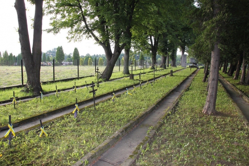 Military cemetery