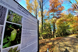 Jedna z tablic na ścieżce przyrodniczej w Parku Miejskim w Wadowicach
