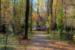 Town Park in Wadowice - zdjęcie33