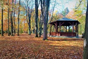 Town Park in Wadowice - zdjęcie7