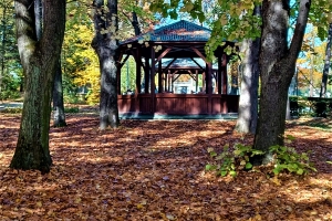 Town Park in Wadowice - zdjęcie28