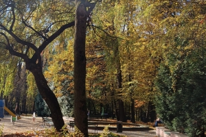 Town Park in Wadowice - zdjęcie18