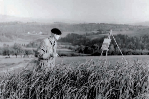 Jan Sarnicki (1904 - 1969) - zdjęcie1