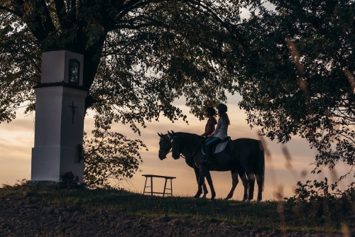 The horse stables