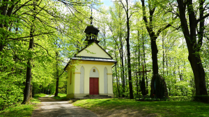 Naturpfad auf dem Hügel Goryczkowiec genannte Glocke