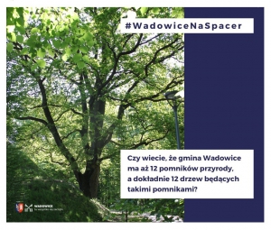 1. Spacer śladem pomników przyrody w gminie Wadowice