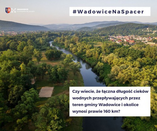 8. Spacer z nurtem Skawy i jej dopływów