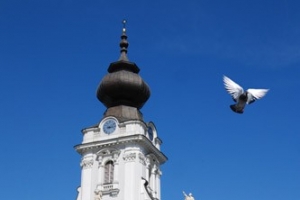 La Basilica Minore intitolata al Sacrificio della Santissima Maria Vergine - zdjęcie1