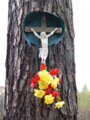 Ul. Karmelicka krzyż zamontowany na drzewie ok 1945 r.