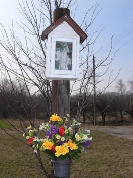 Zaskawie kapliczka na lipie Matki Bożej Różańcowej