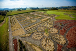 Il giardino di Giovanni Paolo II - zdjęcie1