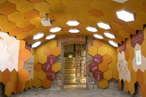 Apilandia - Centre d'Apiculture Interactif - zdjęcie4