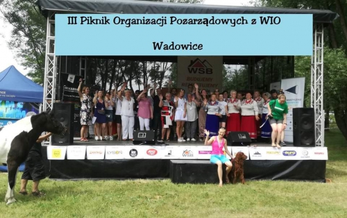 Razem mimo dystansu – IV Piknik Organizacji Pozarządowych w Wadowicach