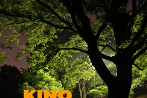 Kino Nocnych Parków już w ten piątek! - zdjęcie1