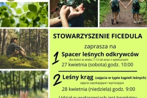 Spacer leśnych odkrywców i kąpiel leśna - zdjęcie1