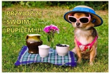 III Wadowicki Piknik z psiakiem