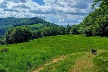 Wakacyjne, górskie wycieczki z WCK