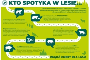 UWAGA – niedźwiedź! - zdjęcie1