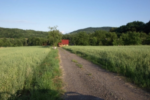 U ROMANA Gospodarstwo agroturystyczne - zdjęcie2