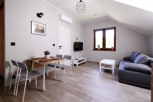 Apartament Mickiewicza - zdjęcie6