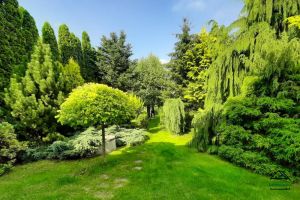 Hébergement à Jaroszowice - zdjęcie10