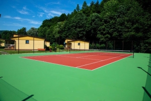 Ponikiew Resort - zdjęcie5