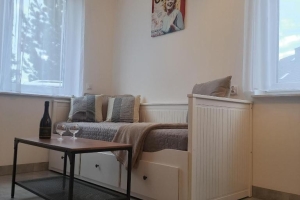 Apartamenty Gotowizna - zdjęcie4